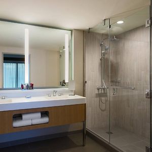 King Room Adapted Tub Mobility Accessible